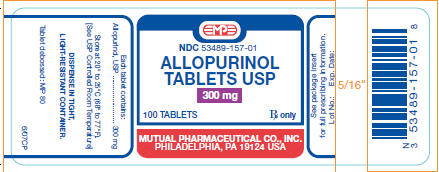 PRINCIPAL DISPLAY PANEL - 300 mg Label