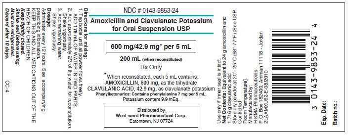 Amoxicillin and Clavulanate Potassium for Oral Suspension USP
200 mL