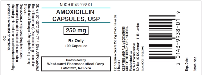 Amoxicillin Capsules, USP 250 mg/100 Capsules