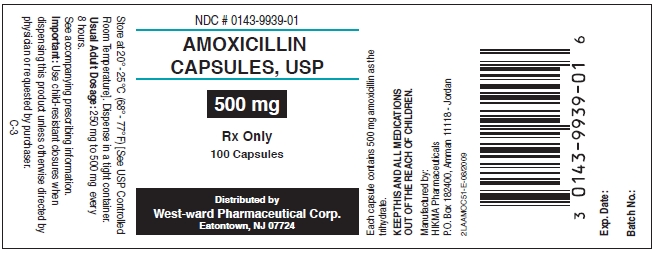 Amoxicillin Capsules, USP 500 mg/100 Capsules