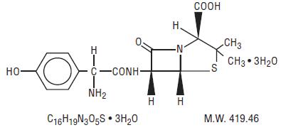 Amoxicillin Chemical Structure