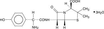 Amoxicillin Chemical Structure