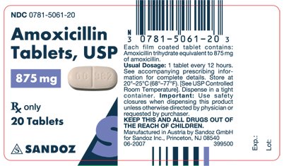 Amoxicillin 875 mg Tablet Label