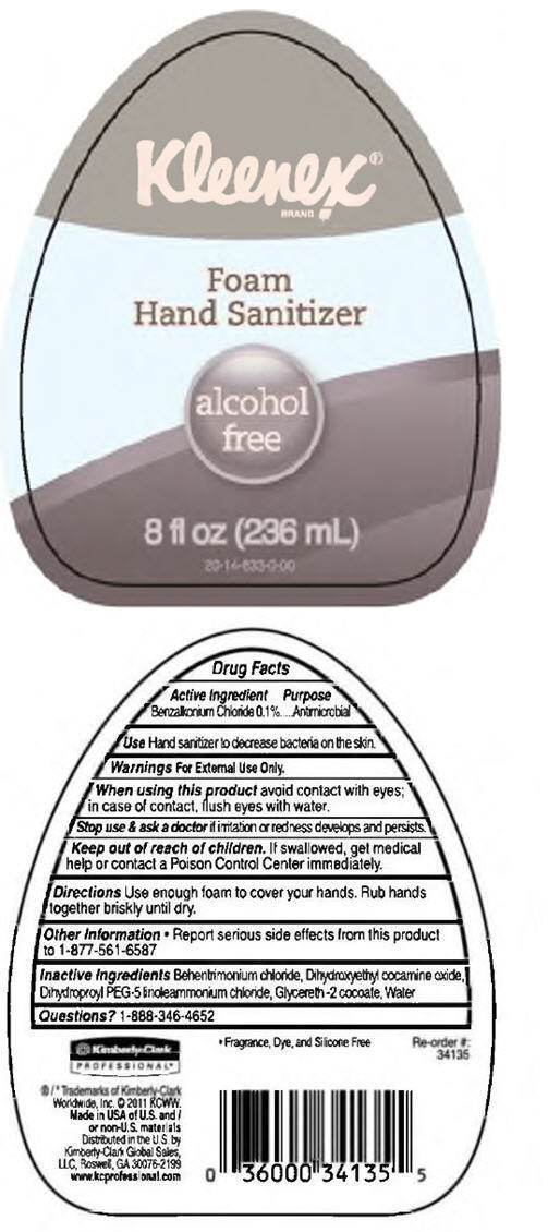 Principal Display Panel - 236 mL Bottle Label