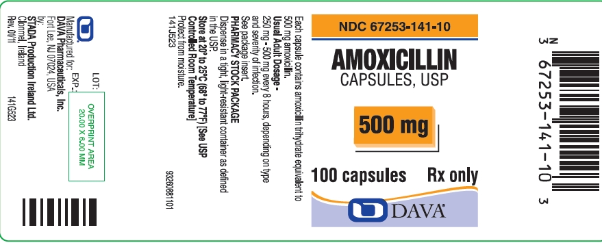 Principle Display Panel  - Amoxicillin Capsules, USP 500 mg 100 capsules bottle