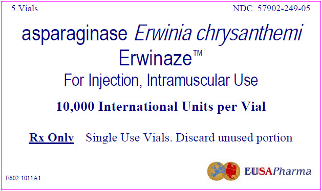 PRINCIPAL DISPLAY PANEL 5 Vials NDC 57902-249-05 asparaginase Erwinia chryanthemi ErwinazeTM For injection, Intramuscular Use 10,000 International Units per Vial RX Only Single Use Vials. Discard unused portion